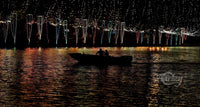 Night Cruise