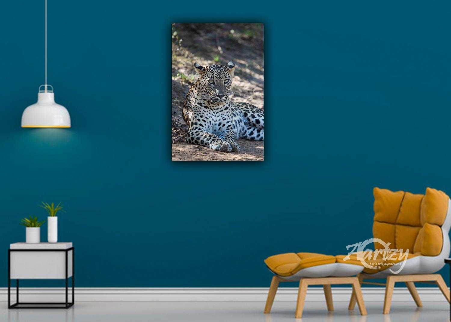 What You Looking At?