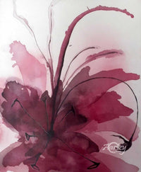Hibiscus Blooms