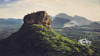 The Fortress