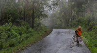 A Lonely Walk