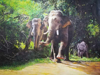 Together, We Walk