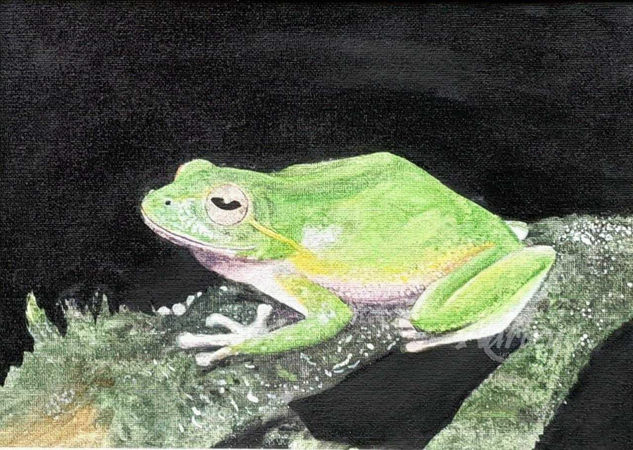 Frog's Vigil