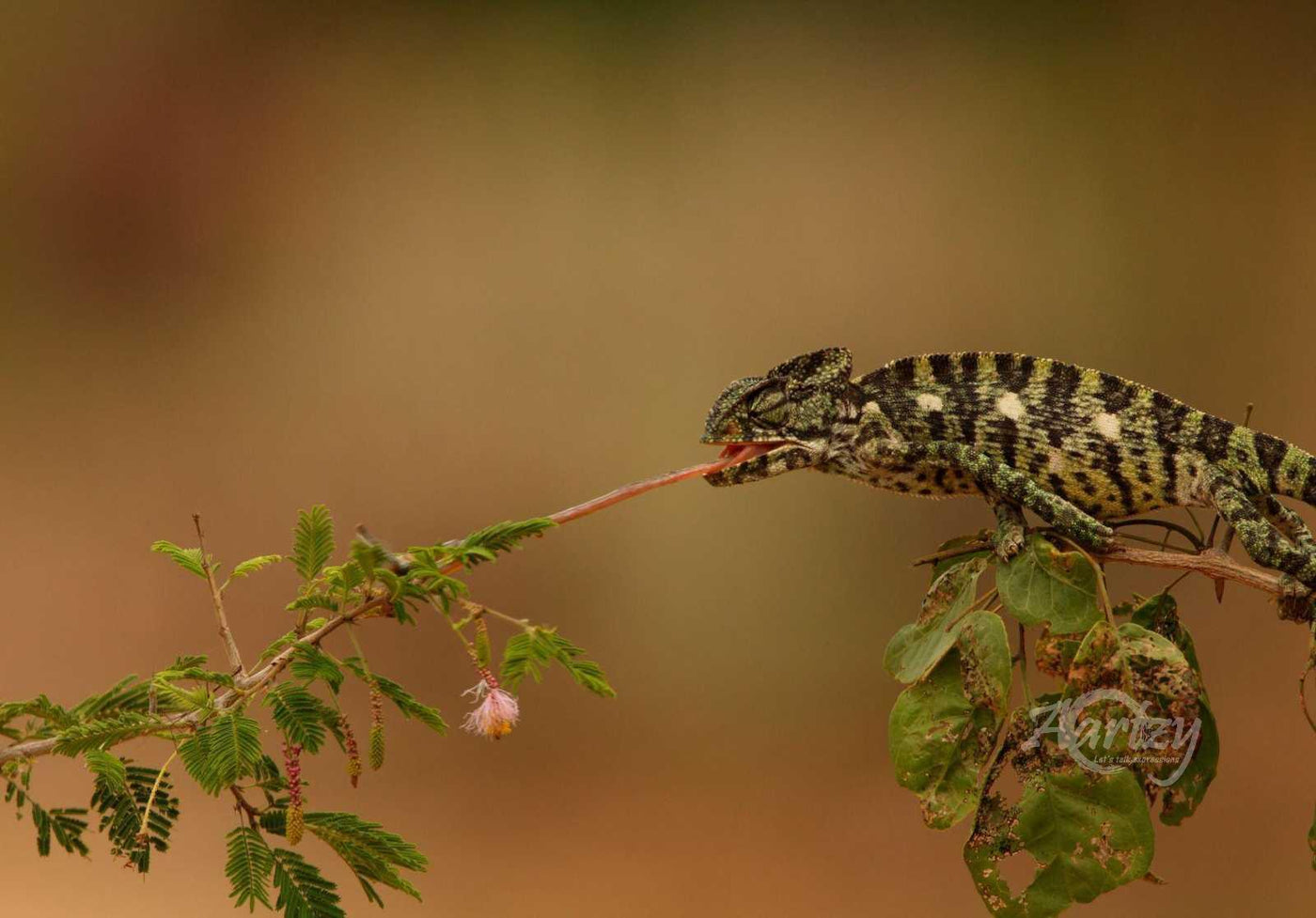 It's Never Far Enough