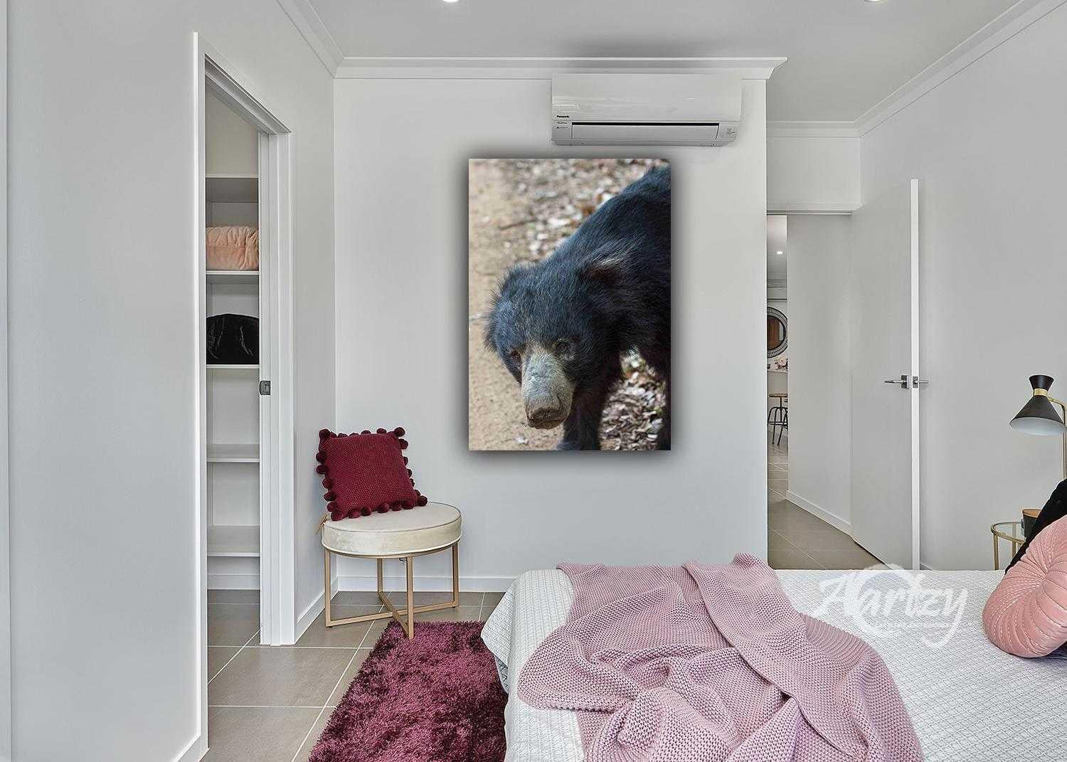 Sloth Bears of Sri Lanka